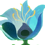 Bloom Mother