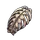 Regenerative Ribcage