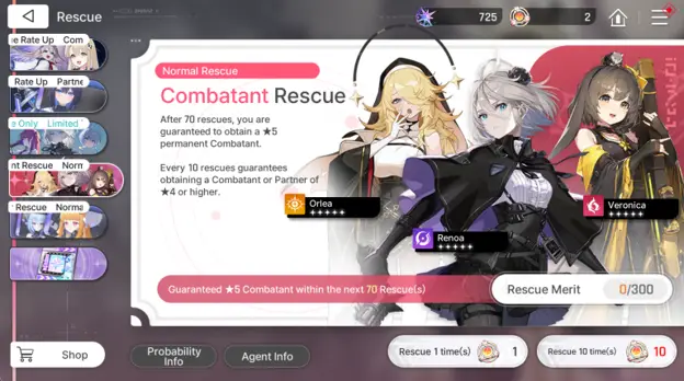 Standard Combatant Banner
