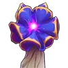 Young Roseshroom