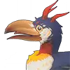 Dwarf Cassowary
